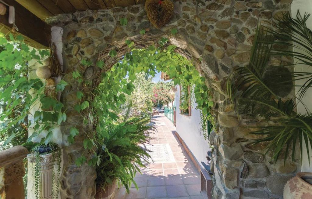 Finca Los Burros Tolatán エクステリア 写真