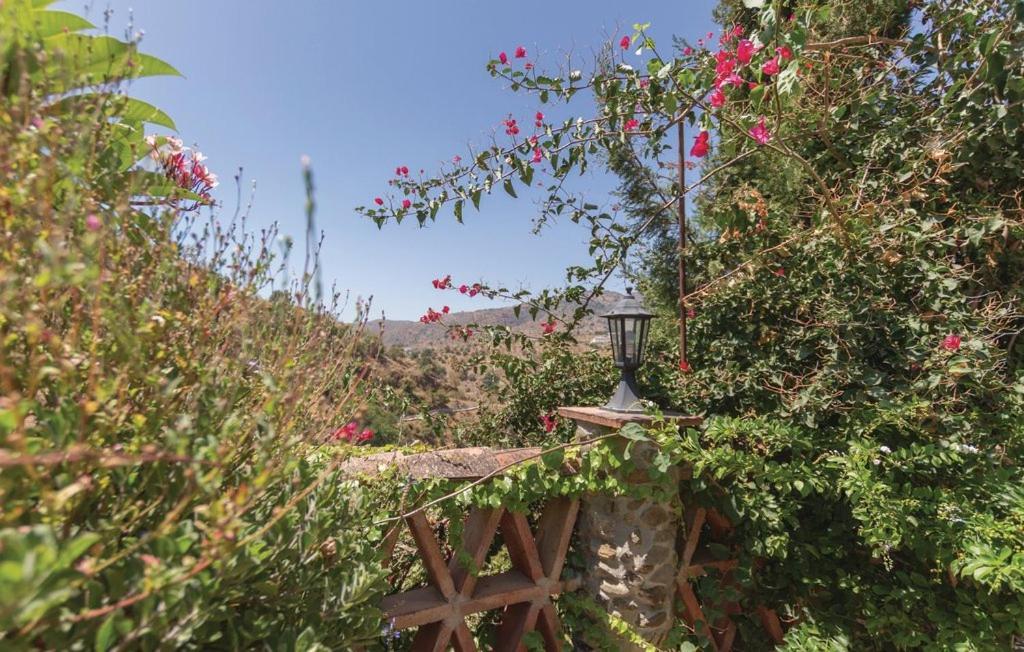 Finca Los Burros Tolatán エクステリア 写真