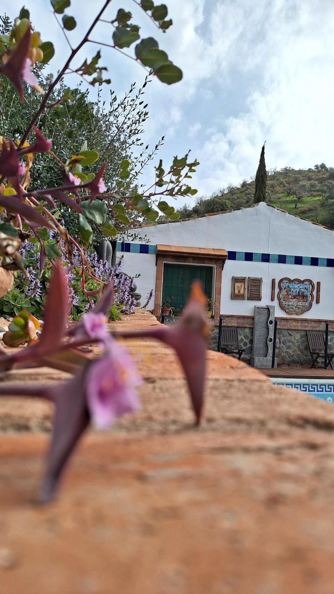 Finca Los Burros Tolatán エクステリア 写真