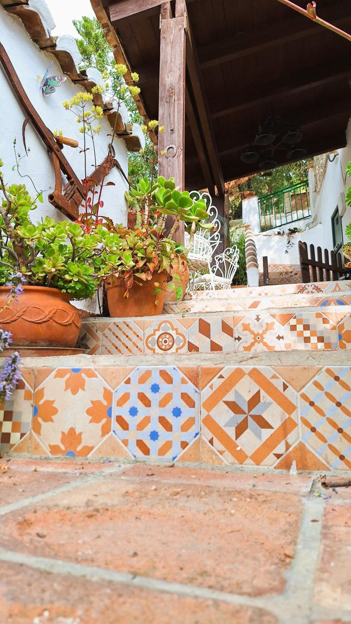 Finca Los Burros Tolatán エクステリア 写真